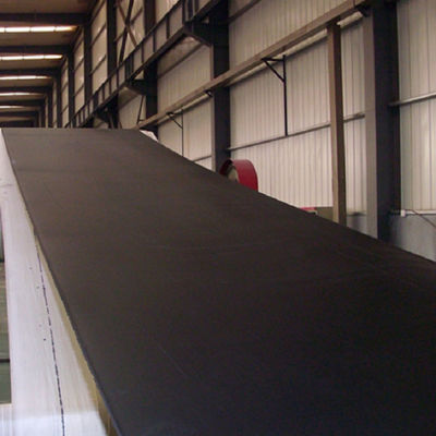 comprare Resistente ad alta temperatura dei nastri trasportatori speciali ST1000 online manufacture