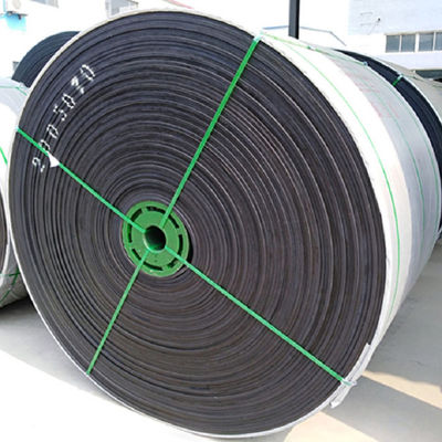 EP100 EP200 Nastri trasportatori speciali resistenti agli agenti chimici L700mm