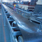 Cintura trasportatrice resistente al fuoco NN250 a maglia metallica 1300 mm
