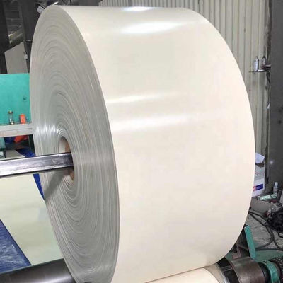 NN100 NN150 NN200 Cintura trasportatrice di gomma bianca con larghezza di banda ampia per applicazioni versatili
