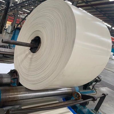 NN200 bianco EP200 i nastri trasportatori di gomma di 3 pieghe